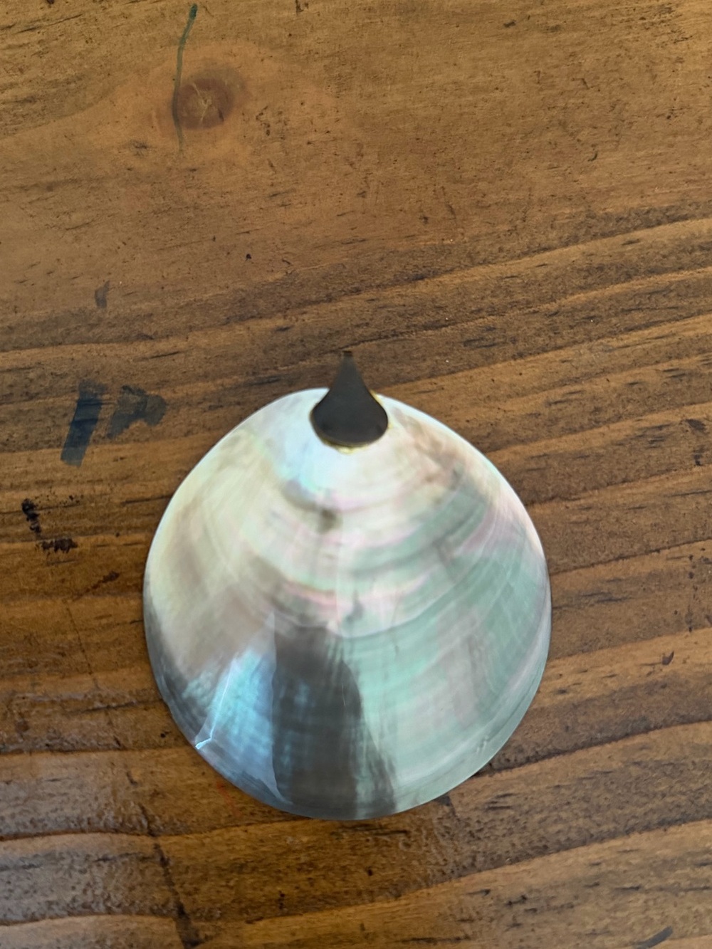 Shell pendant - Picture 3 of 6